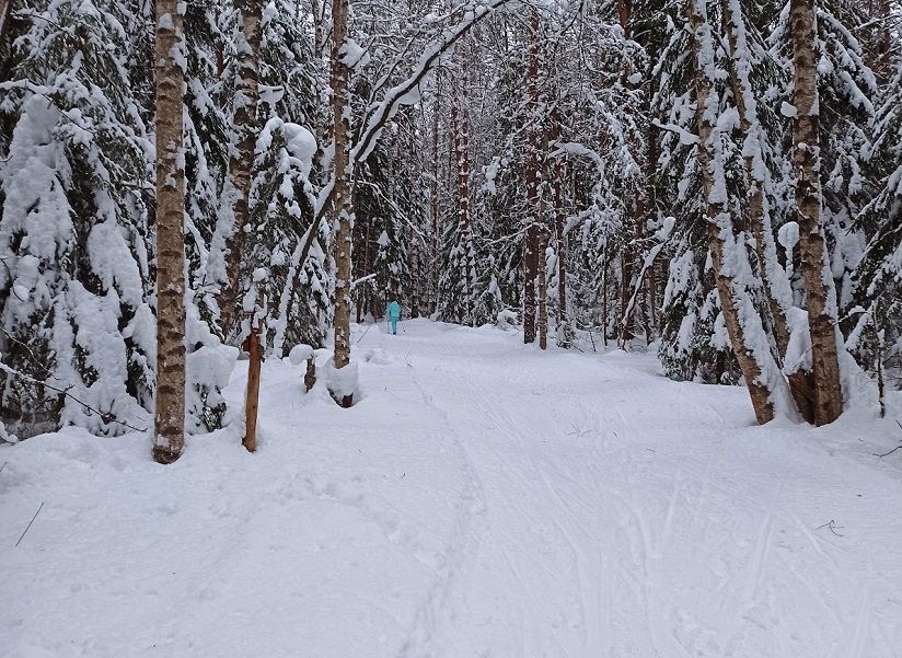 «Прибой» (Зеленогорск)