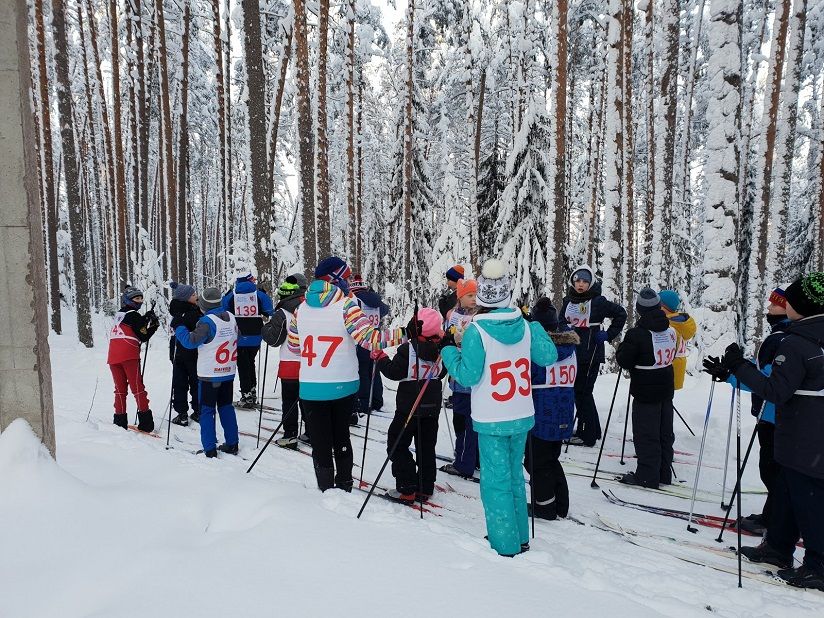 Рощинская лыжня
