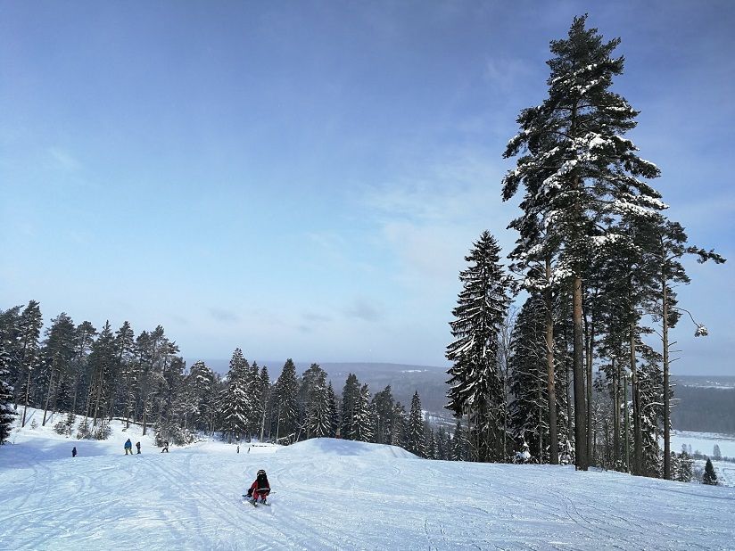«Золотая долина»