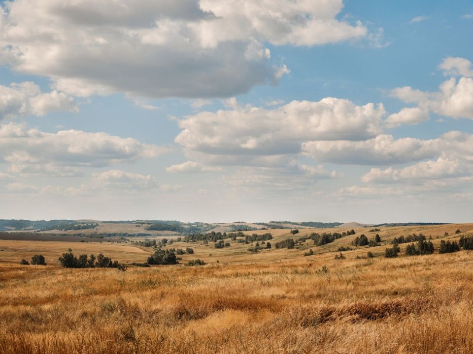 Медведицкая гряда