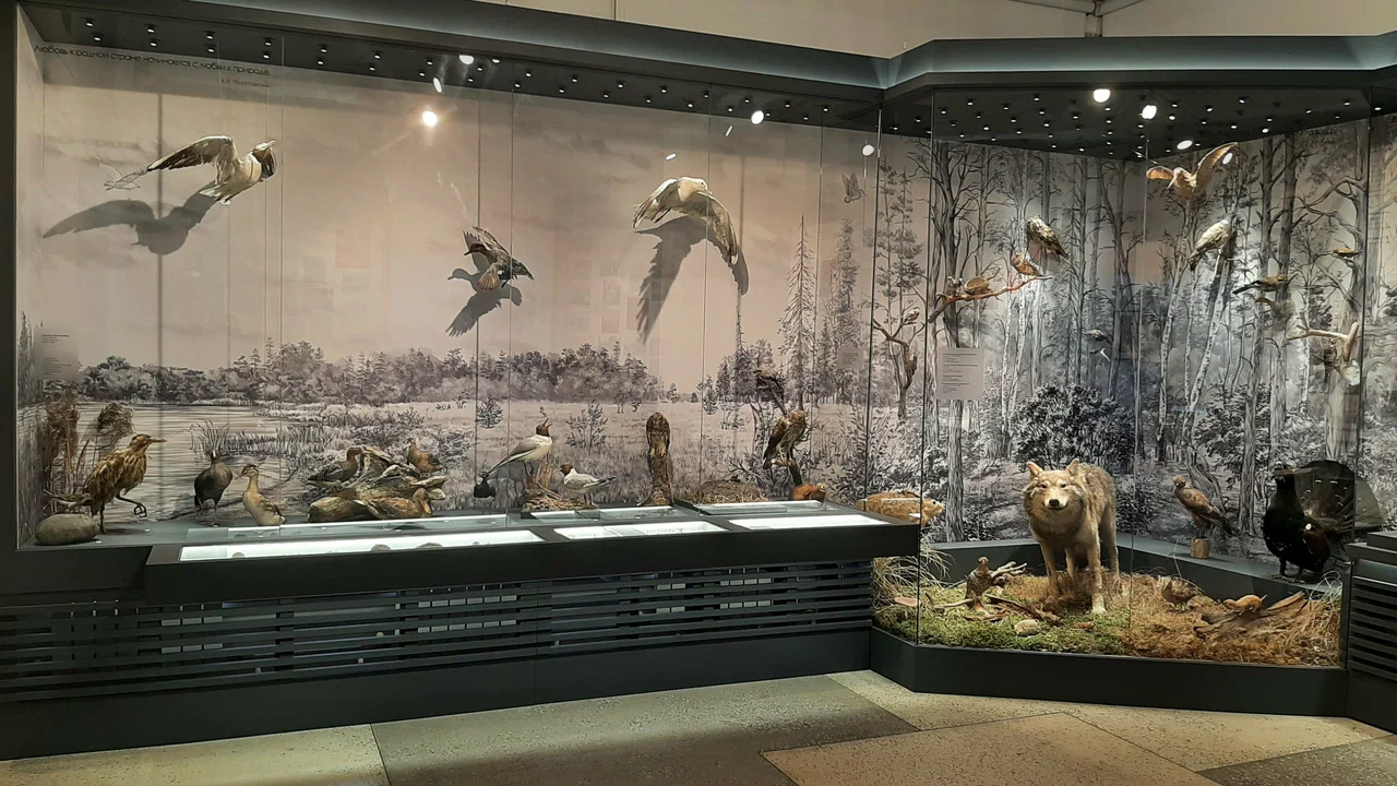 Краеведческий музей