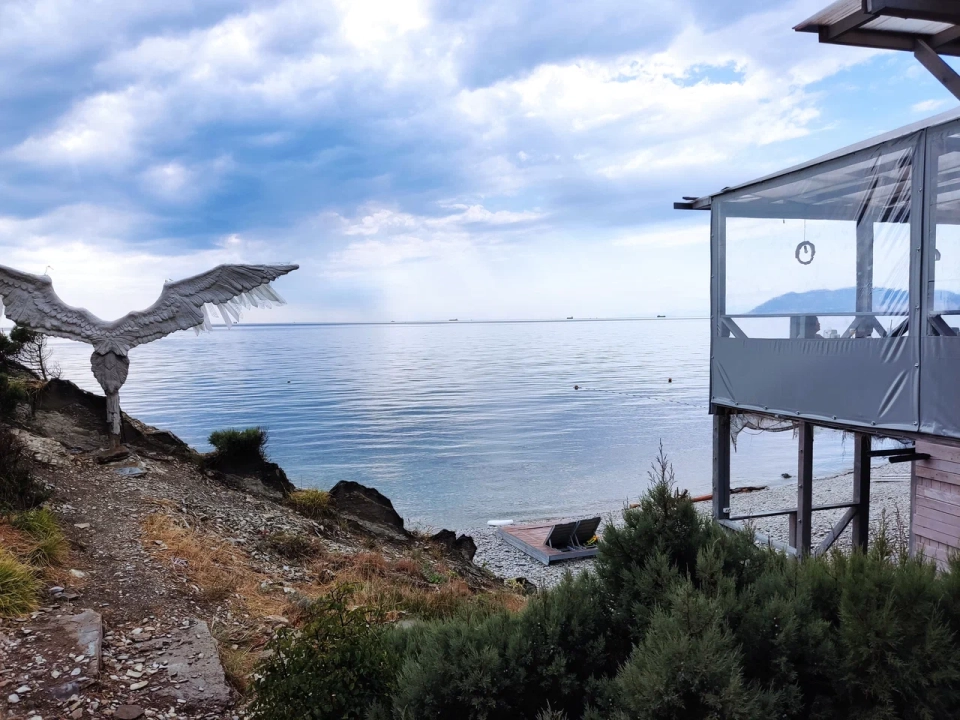 Дикое Место