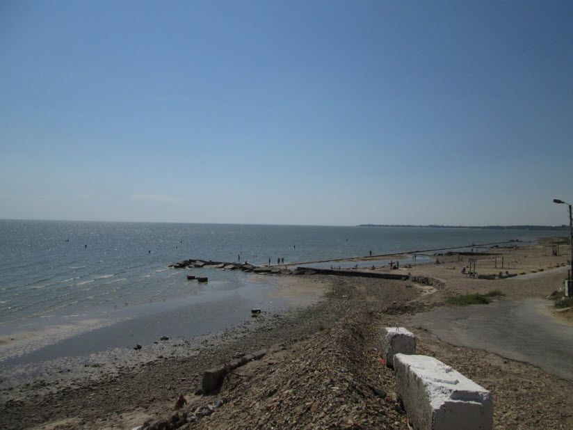 Собачий пляж