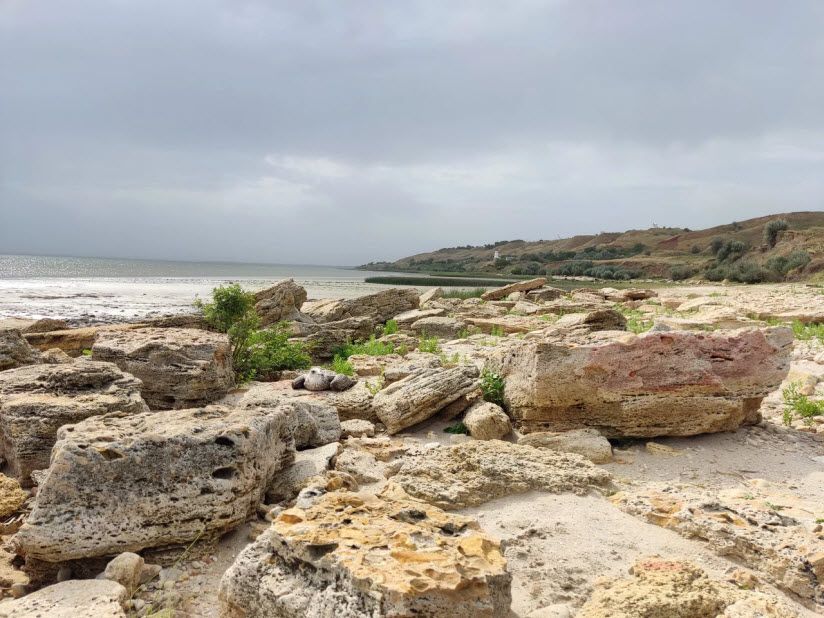 Мержановский пляж