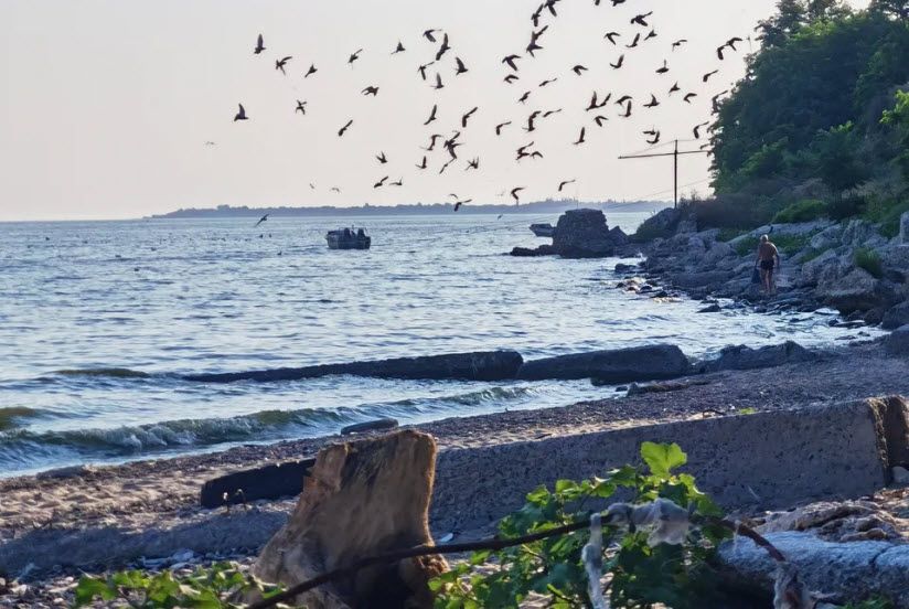 Пляж Богудония