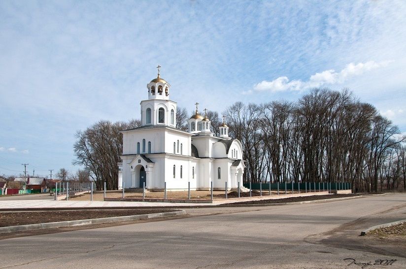 Роща сахарного завода