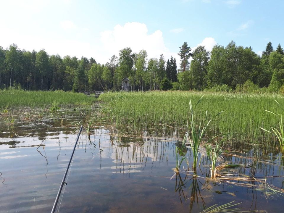 Лёкшмозеро