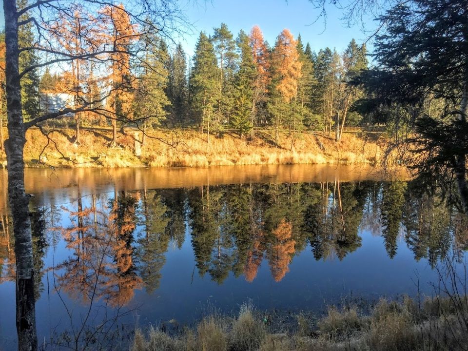 Плесецкое озеро