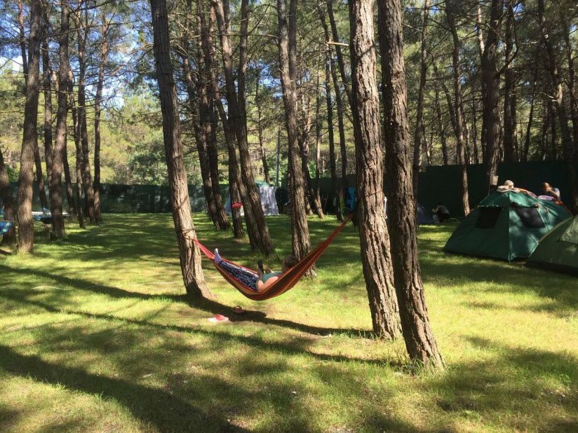 Палаточный лагерь «Под соснами»