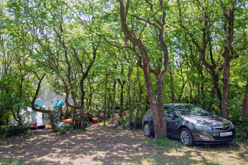 Лагерь «Свежий воздух» в Архипо-Осиповке