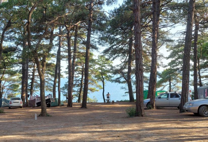 Автокемпинг «Сосновый берег» в Архипке