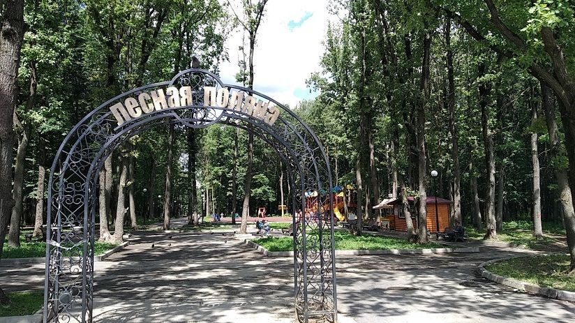 Парк «Лесная поляна»