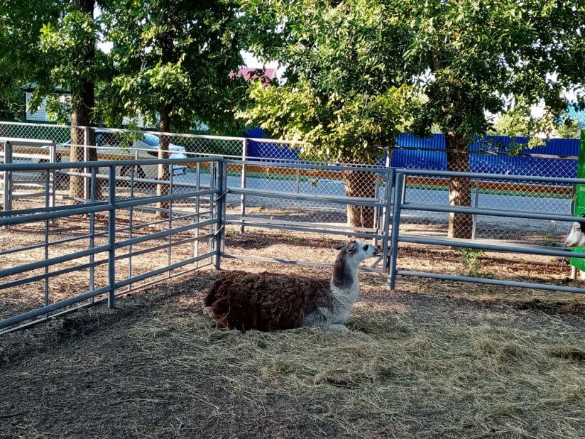 Каневской зооцентр