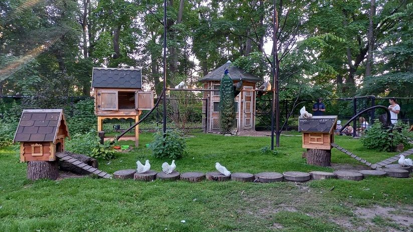 Мини-зоопарк ЦПКиО