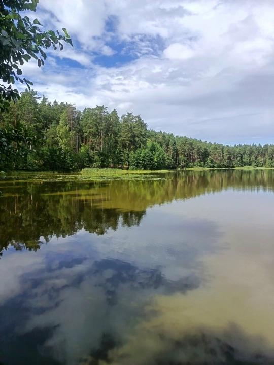 Озеро Малая Ладога (Хонкаярви)