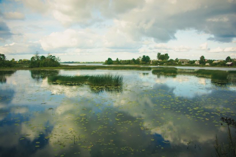 заказник «Череменецкий»