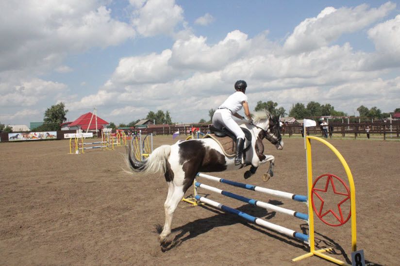 Конный клуб «Звезда»