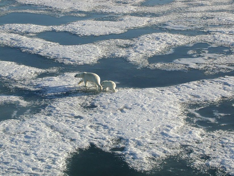 Поморский пролив
