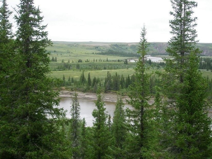 Природный заказник «Море-Ю»