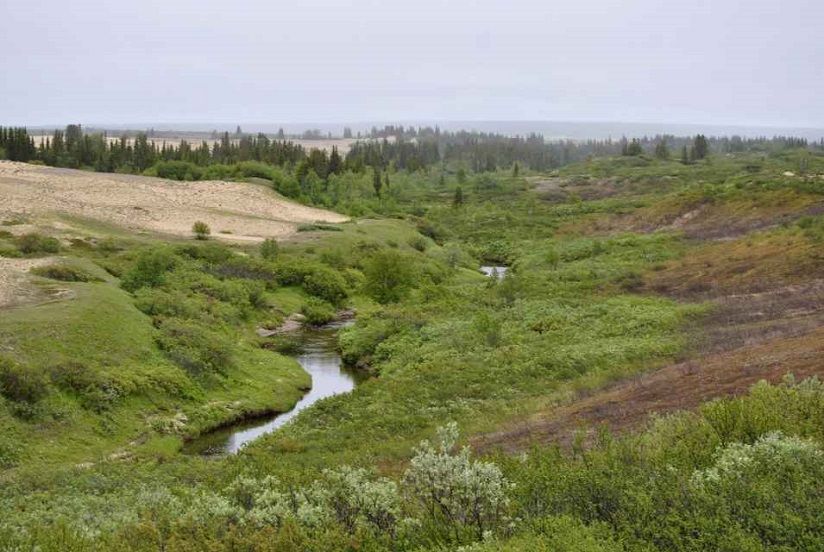Ортинское городище