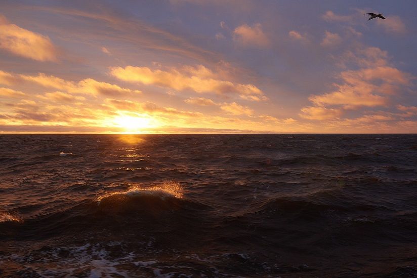 Печорская губа