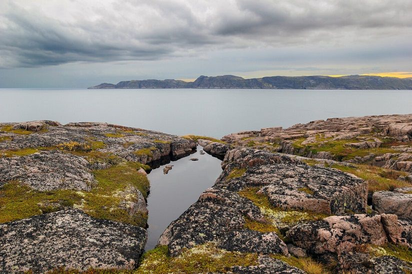 Чёшская губа