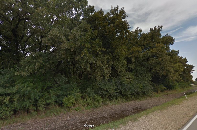 Хатукайский лес