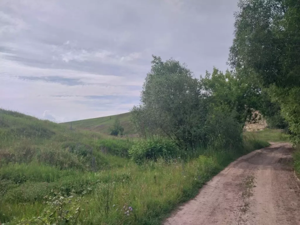 Геологическое обнажение Белая гора