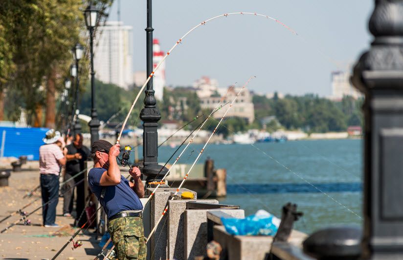 на ростовской набережной
