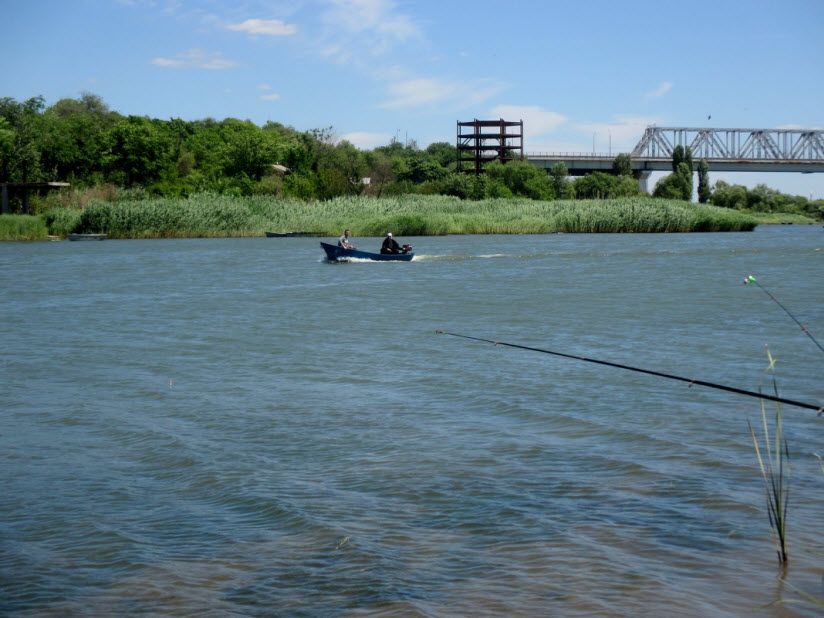 Кумженская роща в Ростове-на-Дону