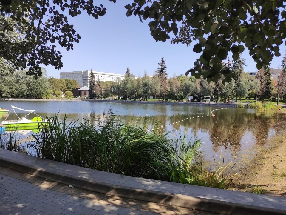 Пионерский пруд