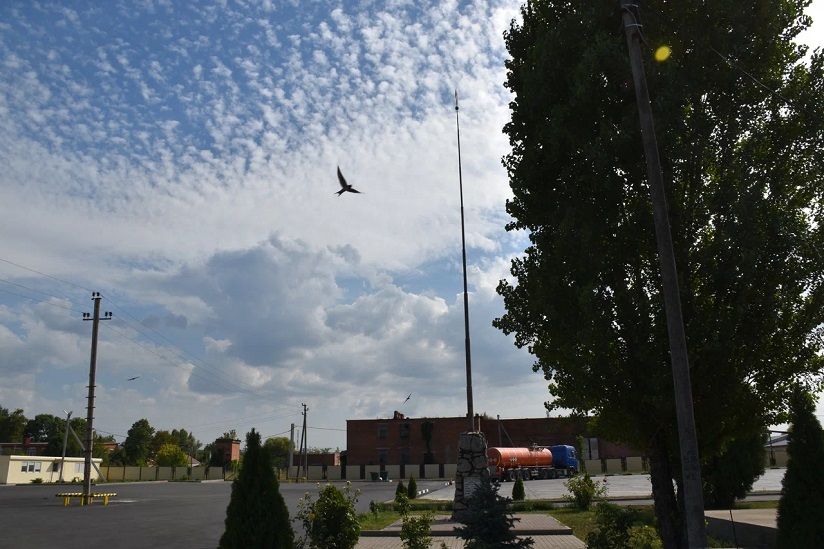 Обелиск землякам, погибшим в ВОВ