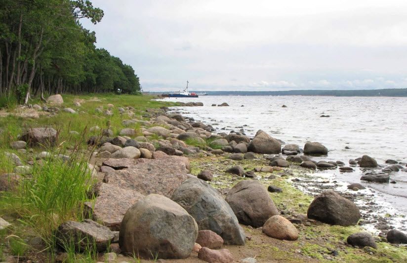 Финский залив