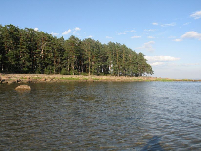 Березовые острова