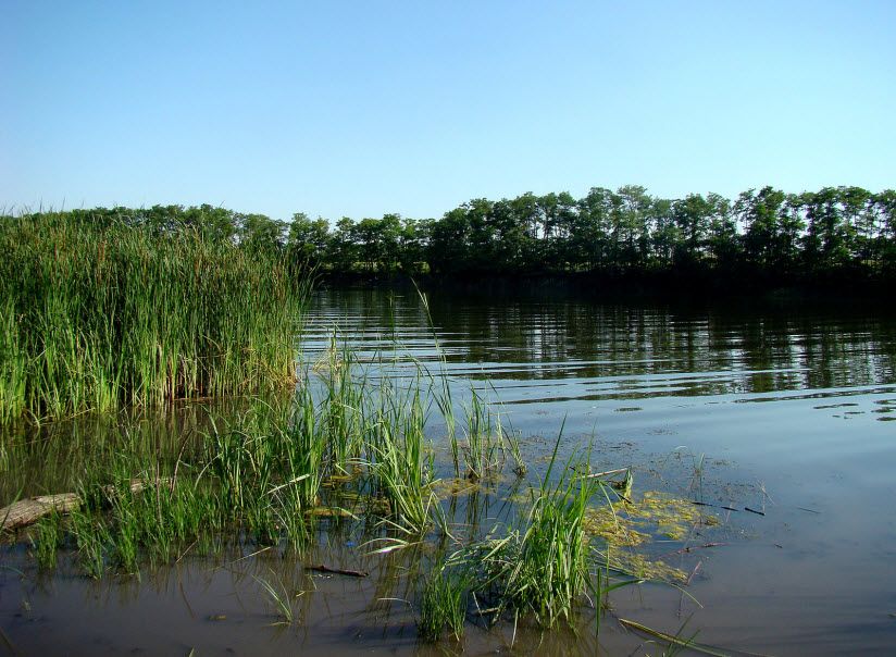 Река Кирпили