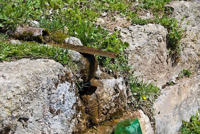 Родник Тереки