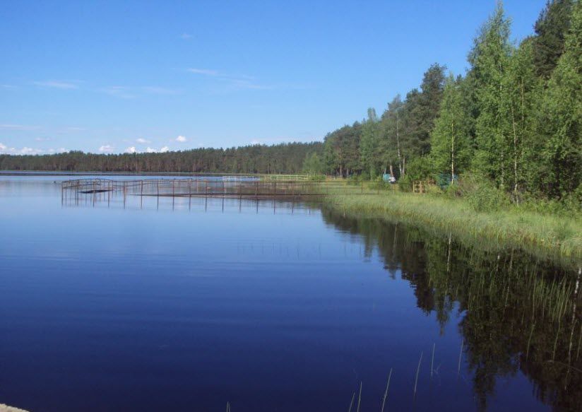 Царицыно озеро