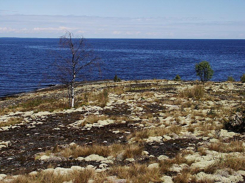 Заказник «Западный архипелаг»