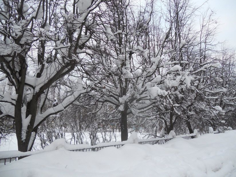 Парк Ленина