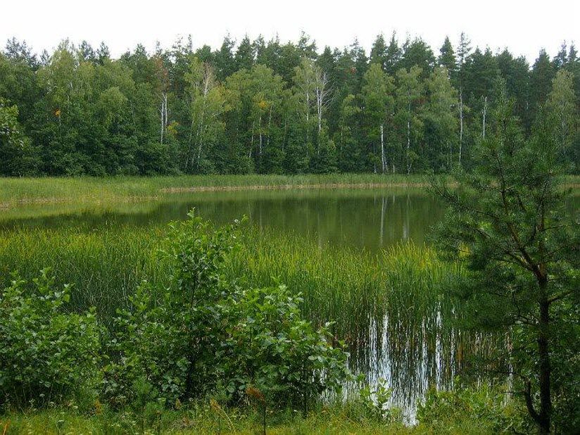 Большая Ключная Яма