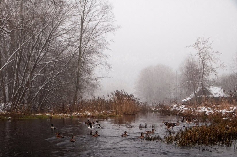 Река Черёмушка