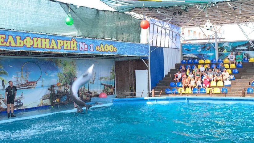 Дельфинарий №1
