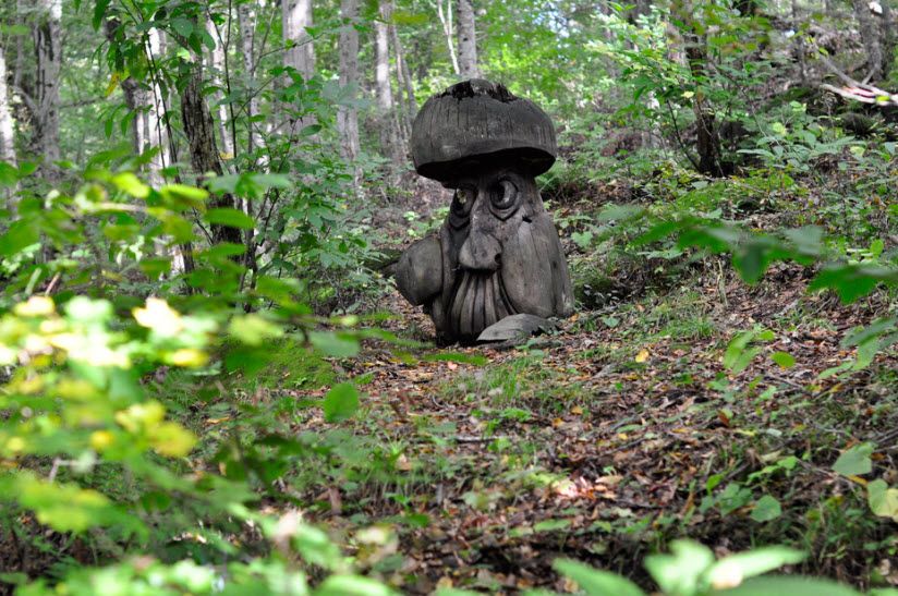 Мацестинский лесопарк