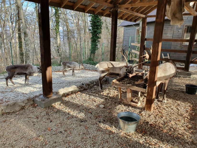 Музей «Деревня Деда Мороза»