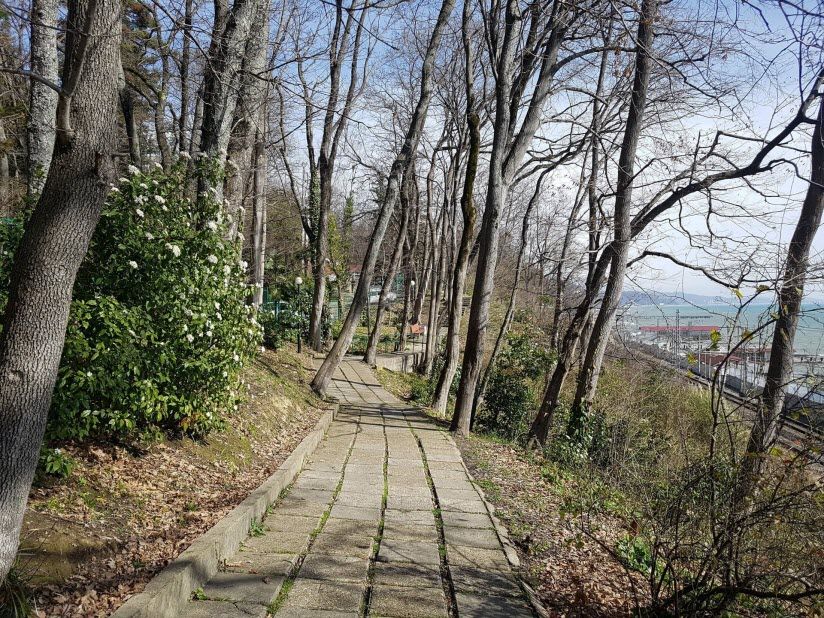 Терренкур Тропа здоровья