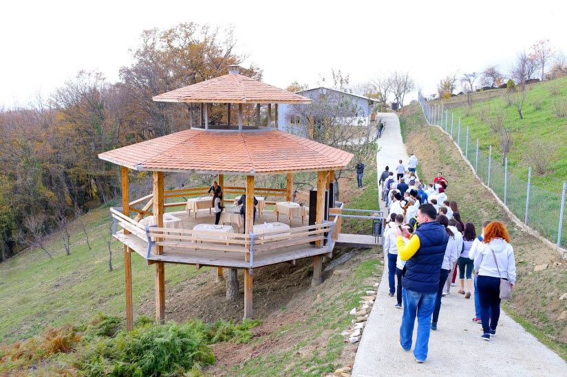 Ферма «Экзархо»