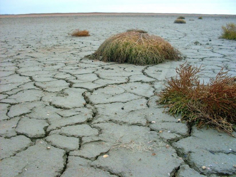 Ахтарские соляные озёра