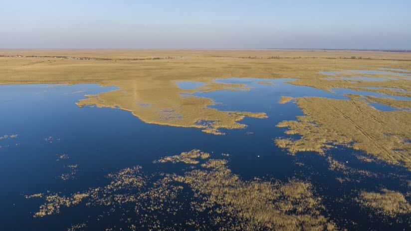 Приазовский государственный природный заказник