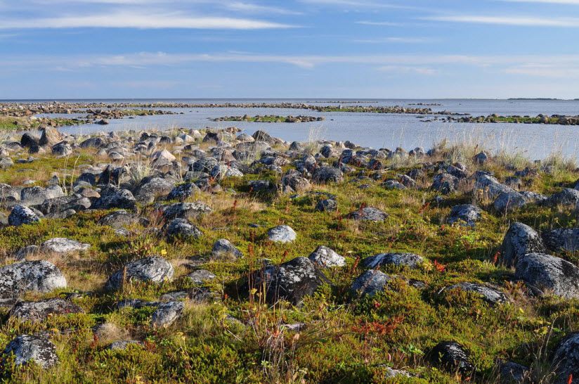 Остров Большая Муксалма