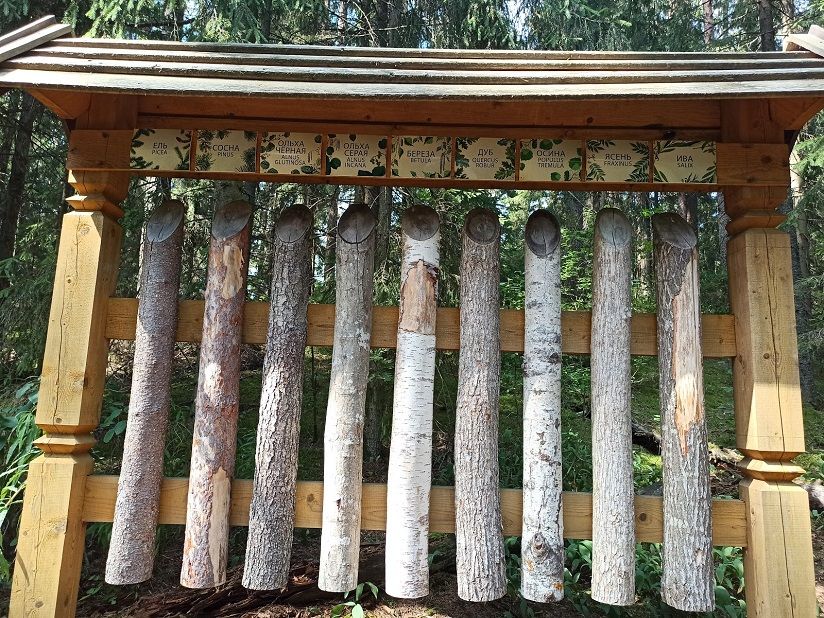 Соколовские ключи (экотропа Лесные тайны)